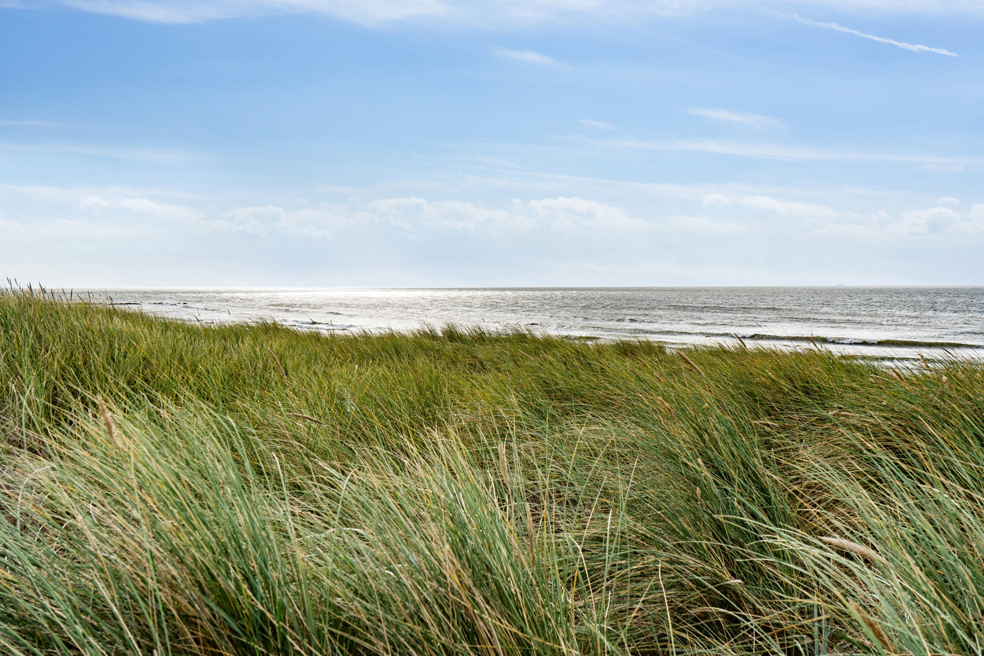 Hvidbjerg Strandvej 133, 6857 Blåvand